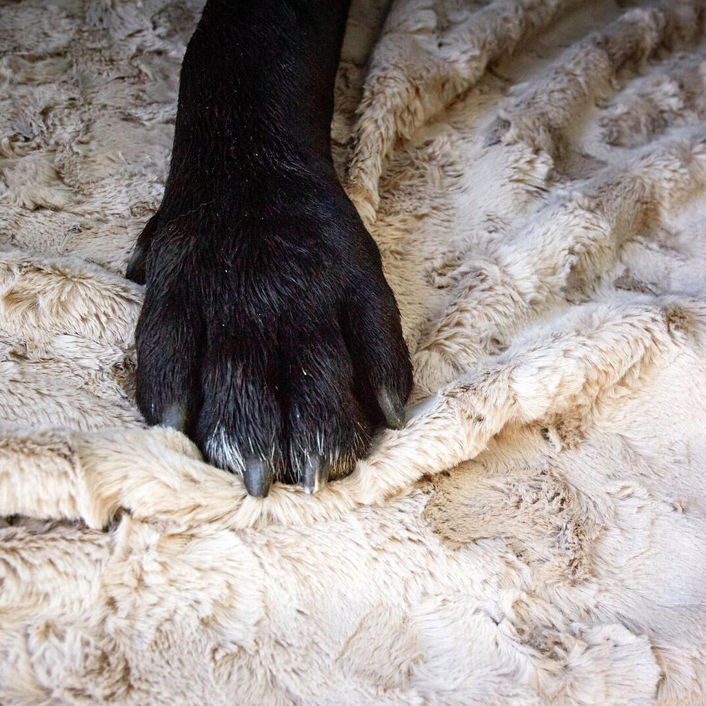Cosy knuffeldeken voor honden