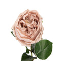 Kunstbloem Roos 43 cm Beige Kunststof