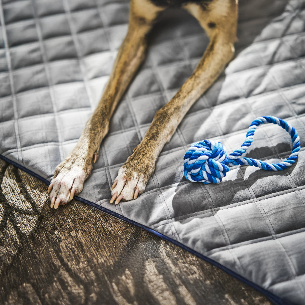 Oxford fluwelen deken voor honden