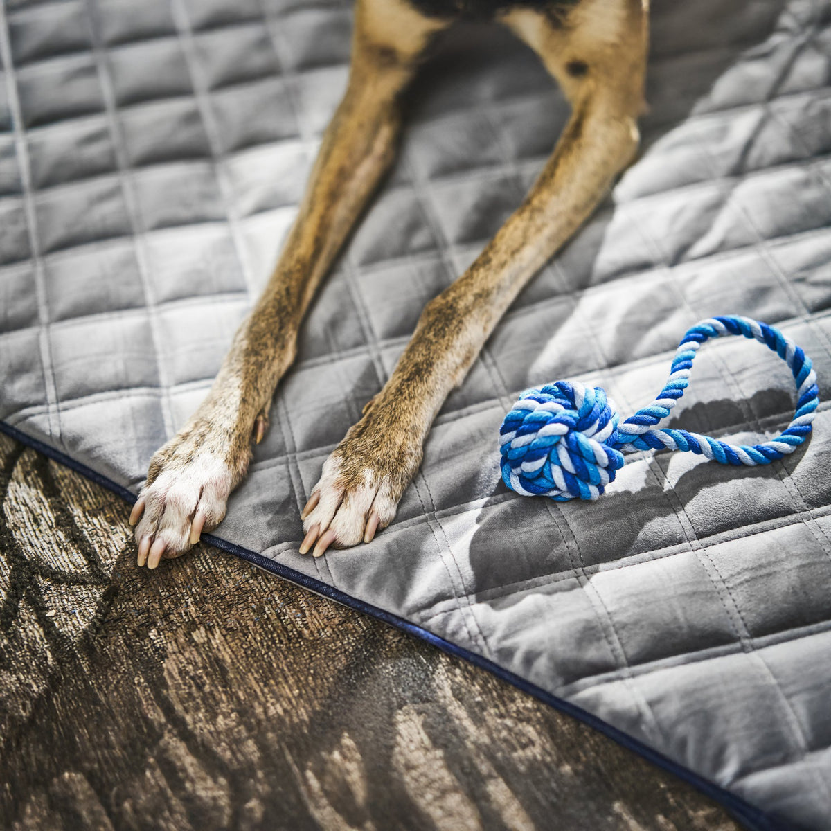Oxford fluwelen deken voor honden