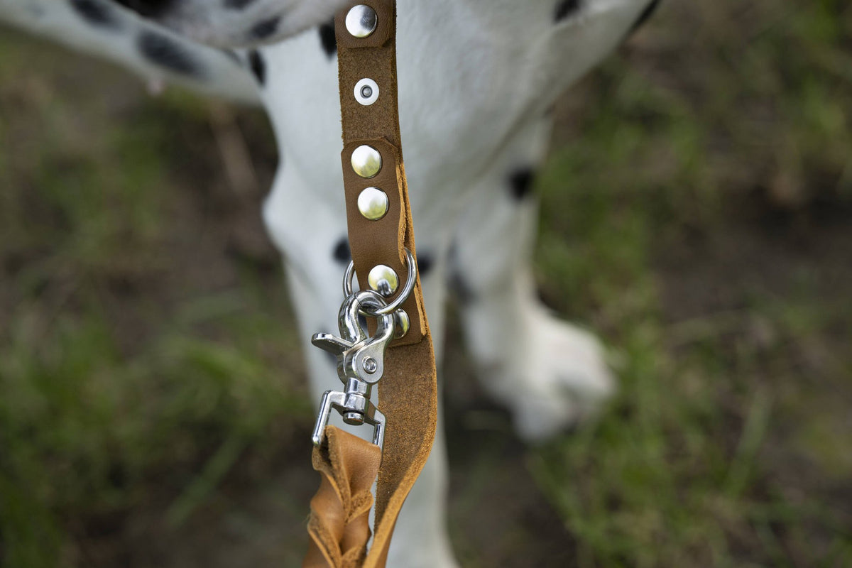 Giro leren riem voor honden
