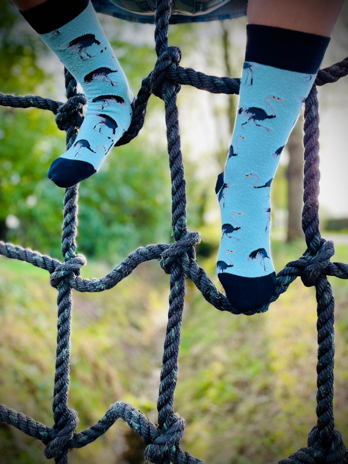 Tintl socks | Animal - Ostrich