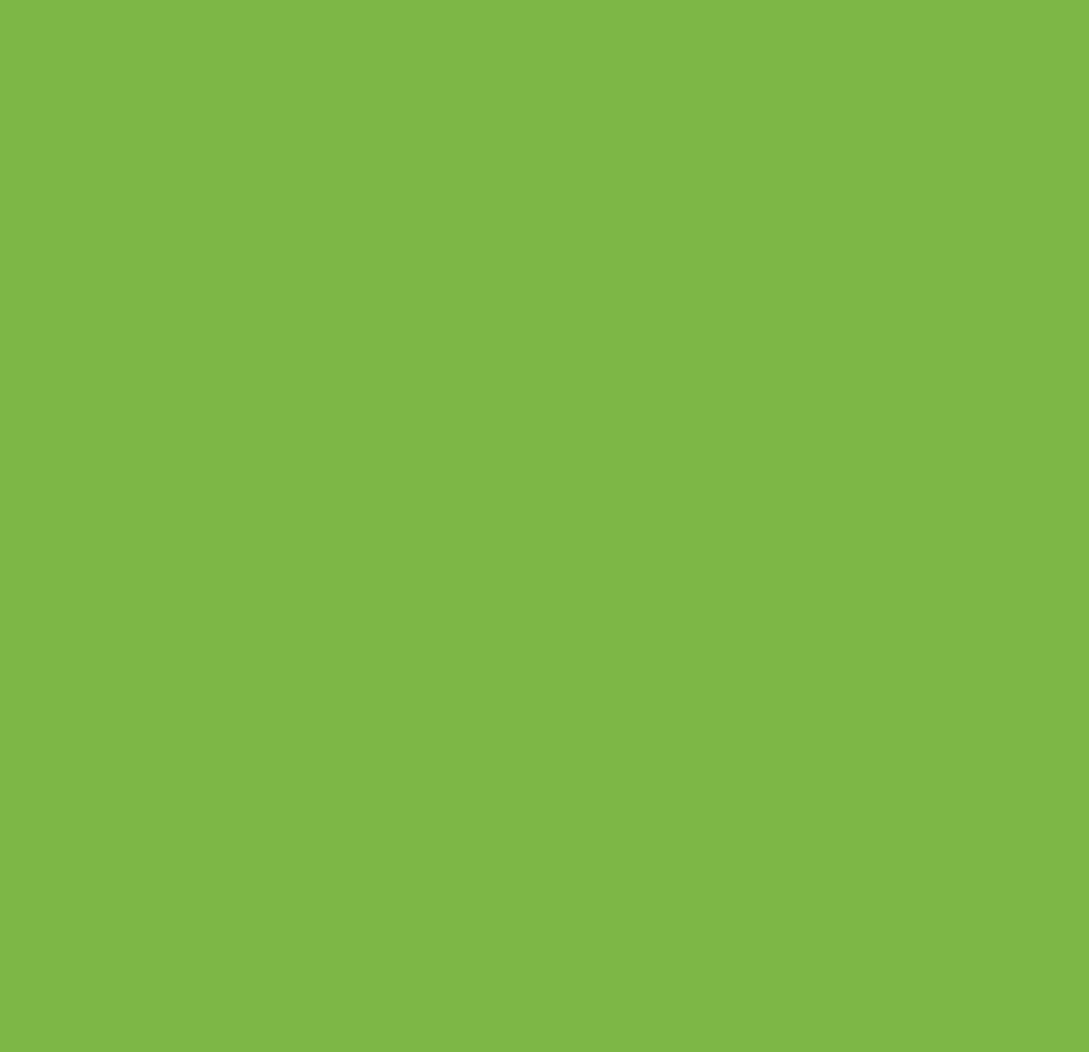 Fluor Zelfklevende Folie Grote Rol groen 45cmx15mtr