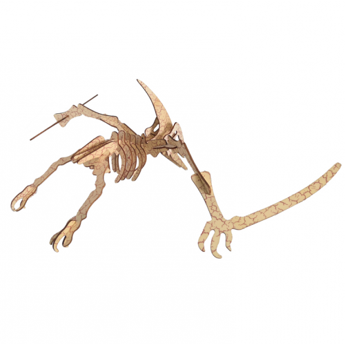 Bouwpakket Pterosaurus- kleur