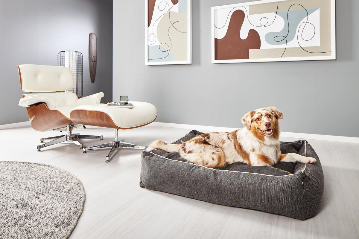 Ortho hondenbed - ECO Graphite
