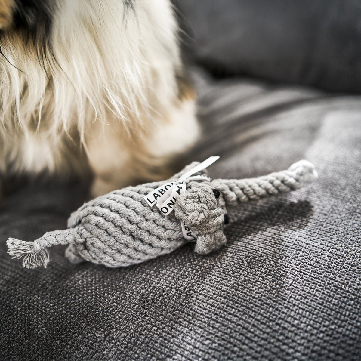 Pannenlappen Feline - set of 2