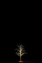 J-Line decoratie boom Kaal - metaal - wit - small - LED lichtjes