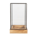 Decoratie Kweekkastje 14x14x24 cm Transparant Glas