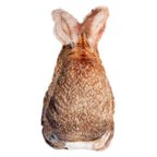 Sierkussen Konijn 16x5x32 cm Bruin Polyester