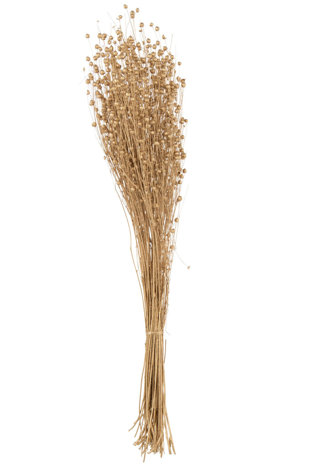 J-Line decoratie tak Linnen Droogbloemen - riet - goud