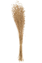 J-Line decoratie tak Linnen Droogbloemen - riet - goud