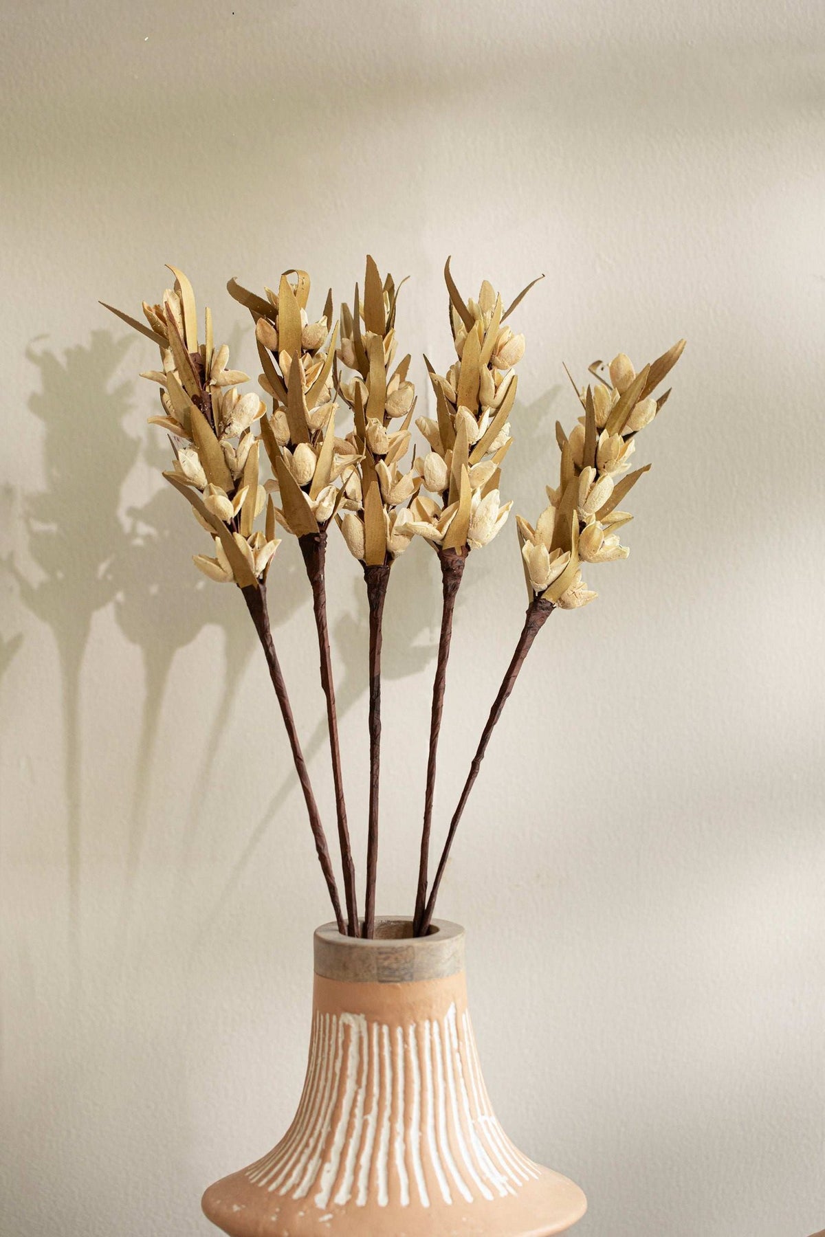 Malar Bakuli Droge Stengels – Natuurlijk – Geconserveerd Botanisch Decor – Set van 5