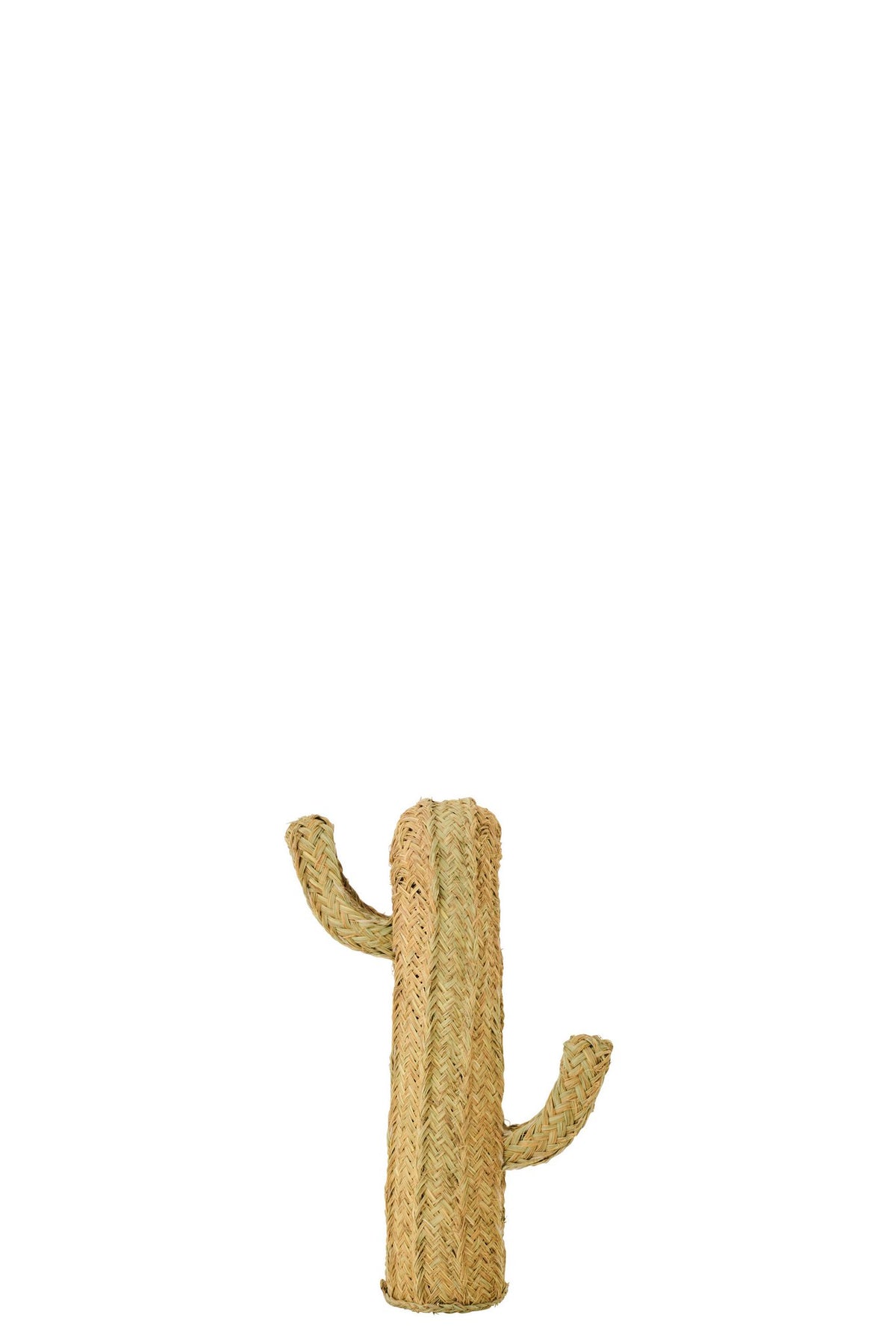 J-Line decoratie Cactus - riet - naturel - S