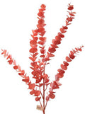 Kunst Eucalyptus 88cm roze