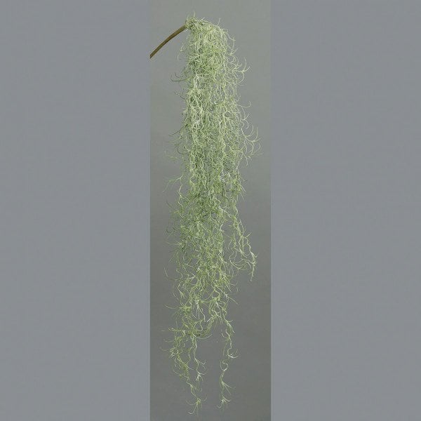 Tillandsia hangt 90cm groen