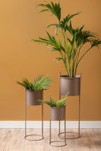 Plantenpotset Essence