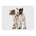 *placemat dwerggeit 30x40cm (4)*