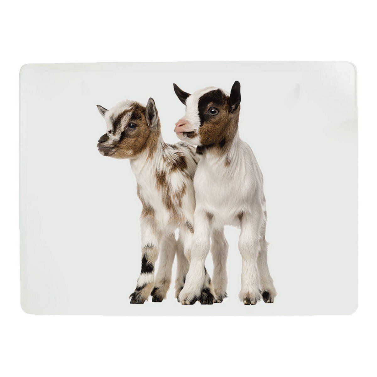 *placemat dwerggeit 30x40cm (4)*