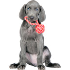Mini-slingbal - cultspeelgoed voor honden