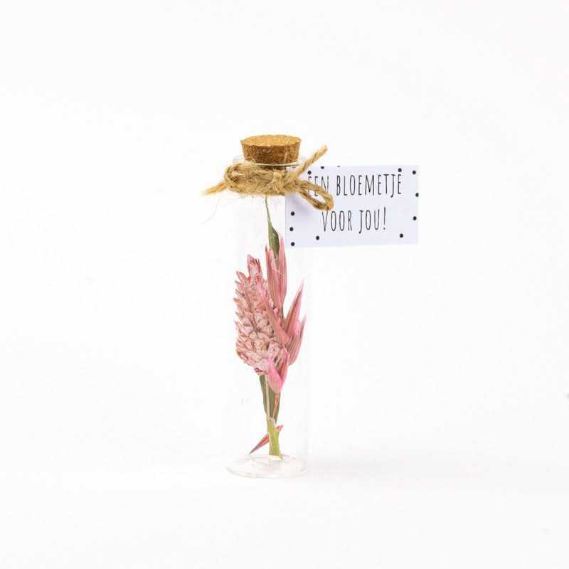 Droogbloem boeket roze 8cm