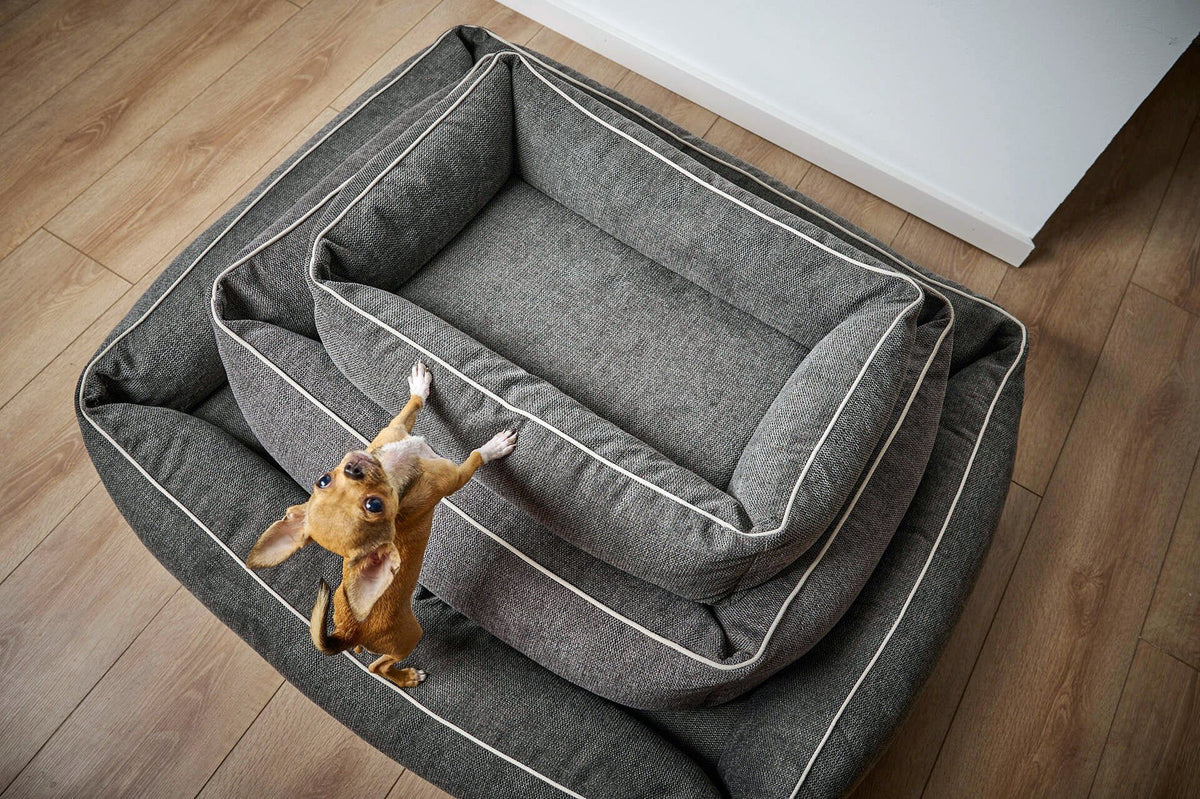 Ortho hondenbed - ECO Graphite