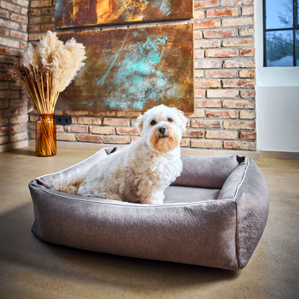 Buffel Ortho | Premium orthopedisch hondenbed