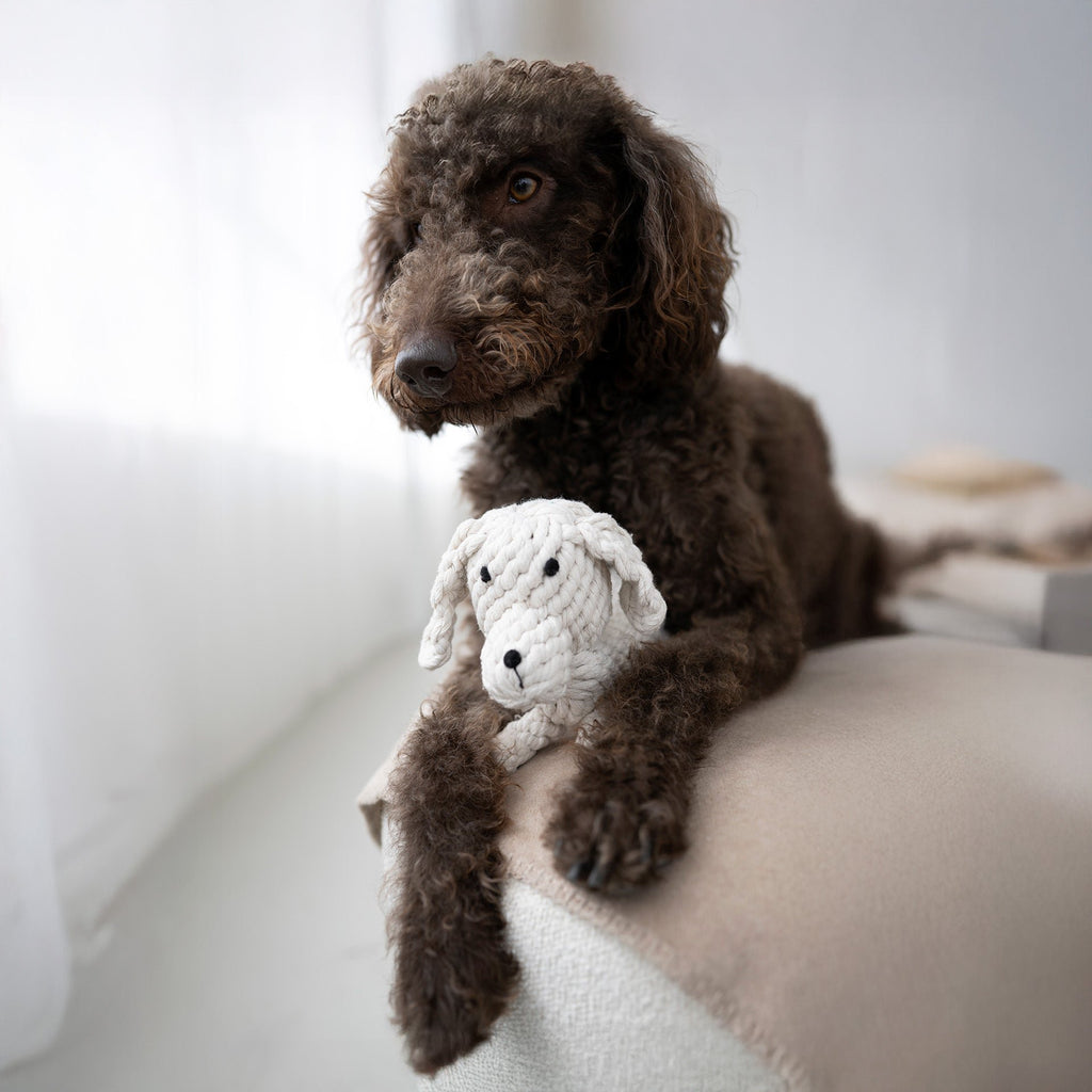 Richie Retriever - cultspeelgoed voor honden