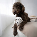 Richie Retriever - cultspeelgoed voor honden