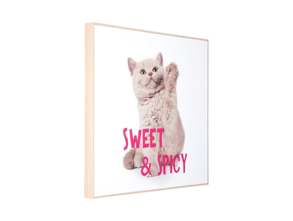 Wanddecoratie Kitten Zoet & Pittig