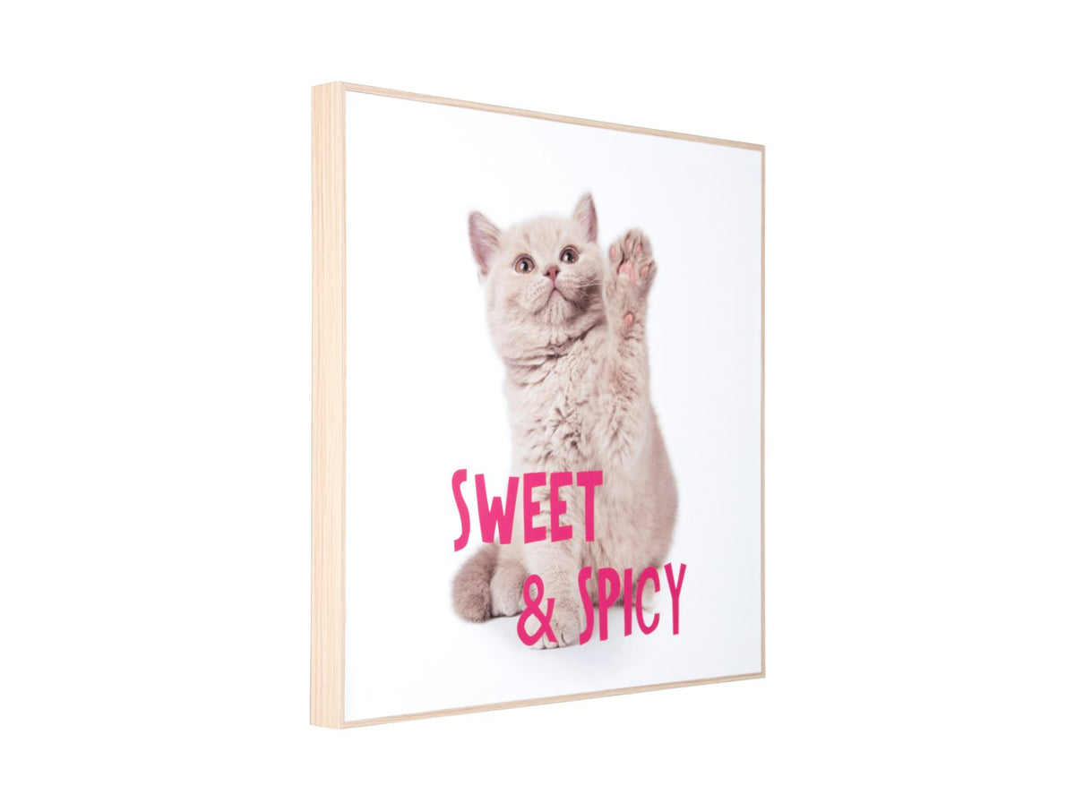 Wanddecoratie Kitten Zoet & Pittig