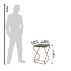 Bijzettafel 40x40x55 cm Goudtligig ijzer plantentafel