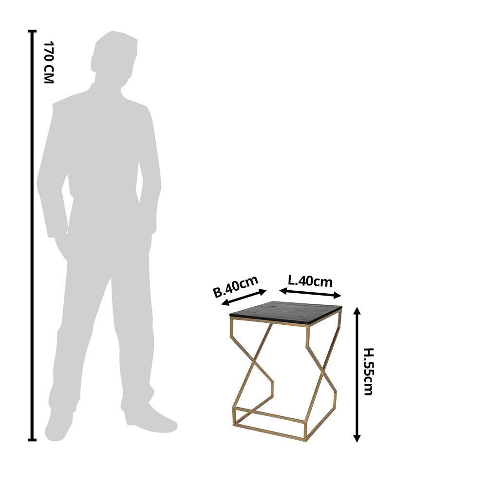 Bijzettafel 40x40x55 cm Goudtligig ijzer plantentafel