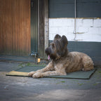 Teddy reis- en outdoordeken voor honden