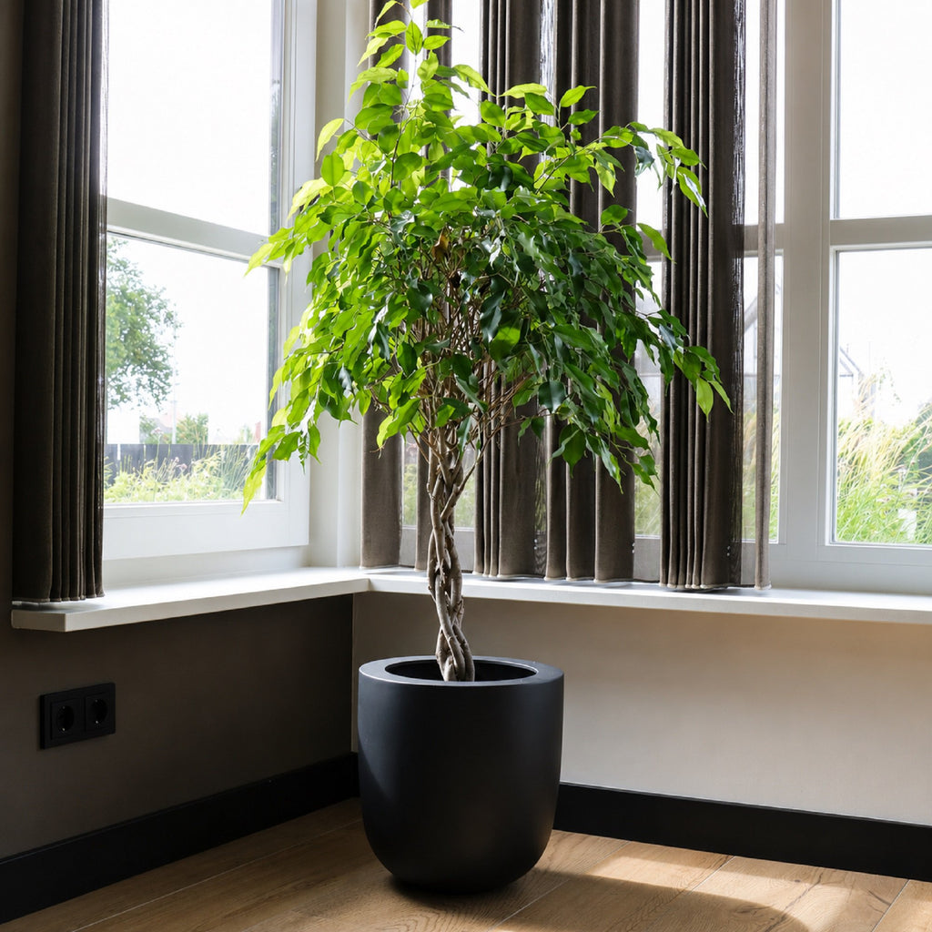 Plantenpot - Ducos big black