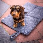 Opvouwbare reisdeken voor honden – Feltro