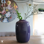 Vaas - Artic purple