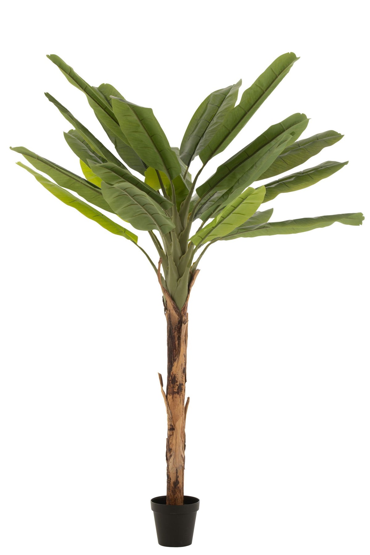 J-Line Bananenboom Plastiek Groen/Bruin