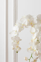 J-Line plant Orchidee In Aarde - kunststof - wit/groen - large