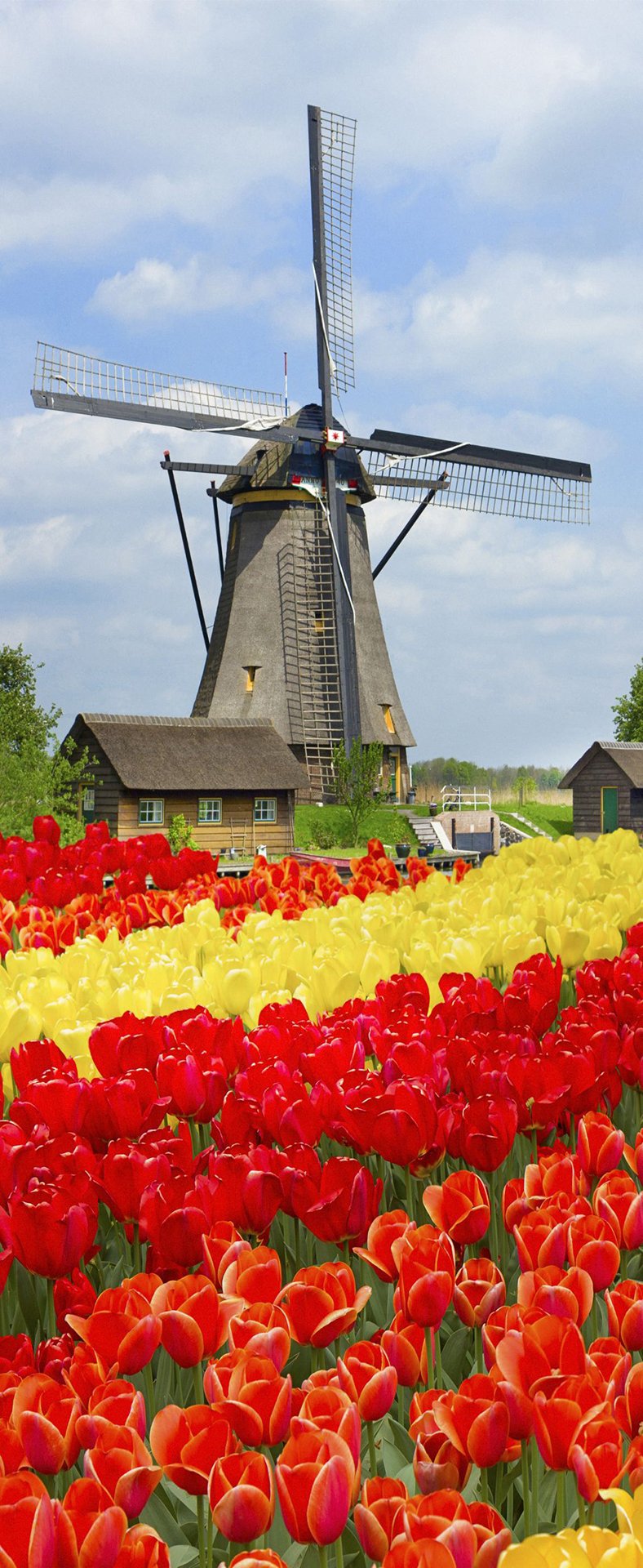 Lisse Outdoor Poster Xxl fotoprint 140x340cm
