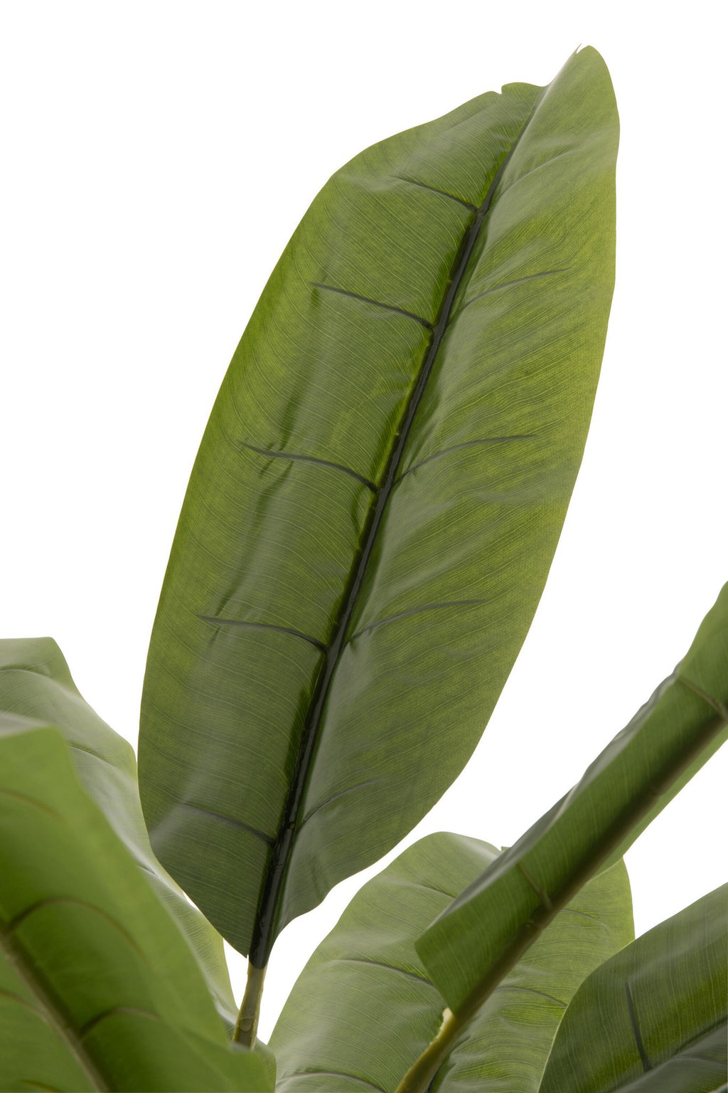 J-Line Bananenboom Plastiek Groen/Bruin