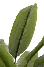J-Line Bananenboom Plastiek Groen/Bruin