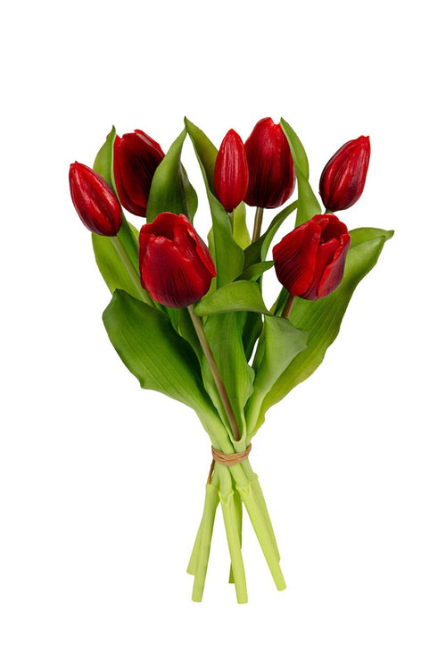 07600.529 Tulpenbundel 30cm rood