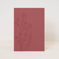 Postcard 'flowers'