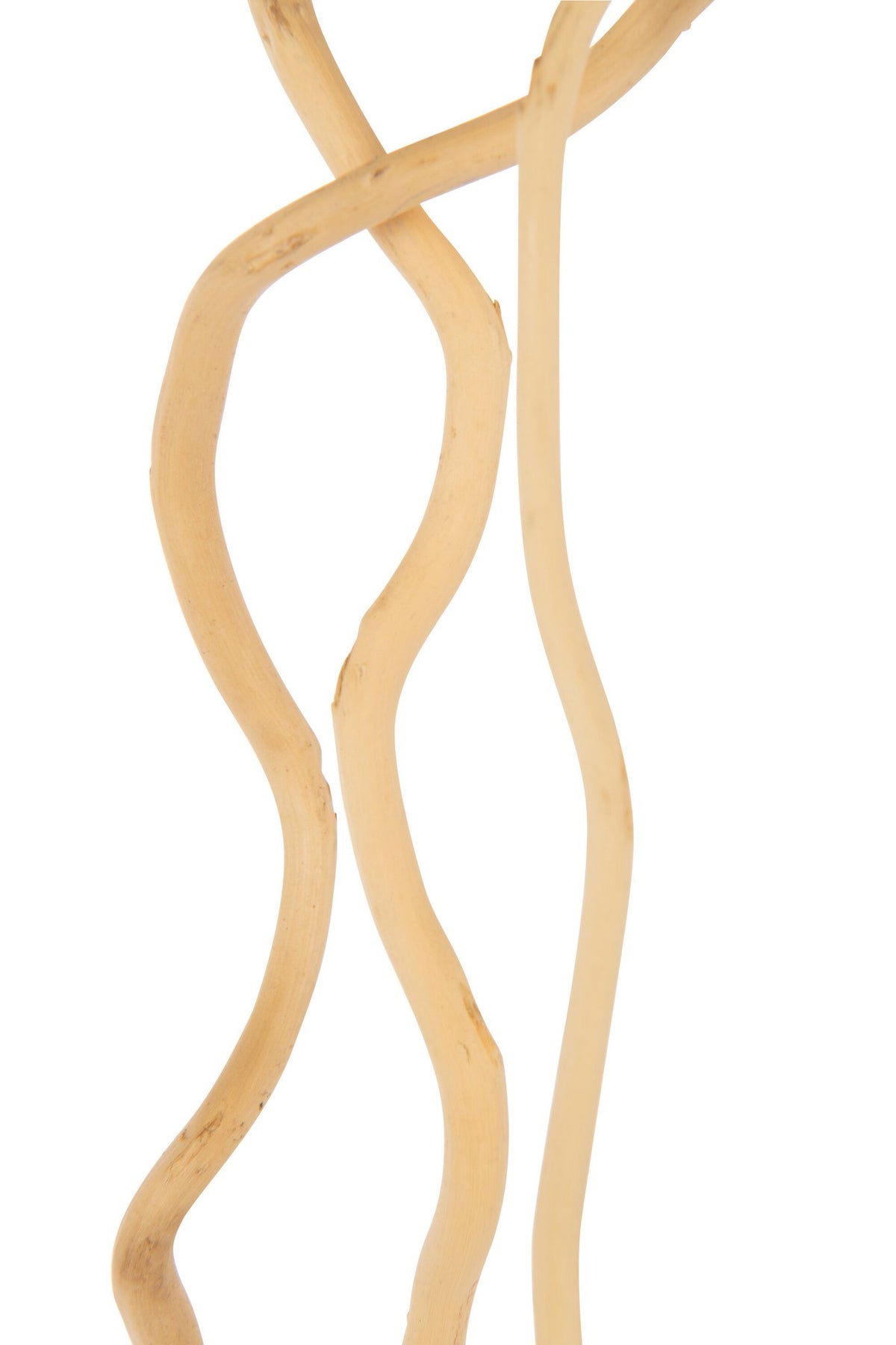 J-Line decoratie tak Droogbloemen - riet - naturel - L- set van 3