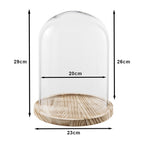 Stolp Ø 23x29 cm Glas Glazen Stolp