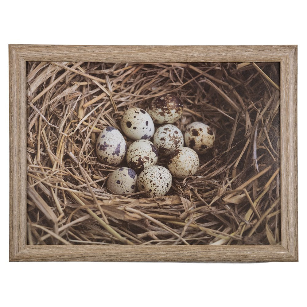 Schootkussen eieren in nest 43cm