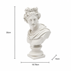 Apollo buste sculptuur – wit klassiek Grieks beeld voor elegant interieur