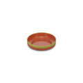 Schaal 21x5cm oranje/groen Duo