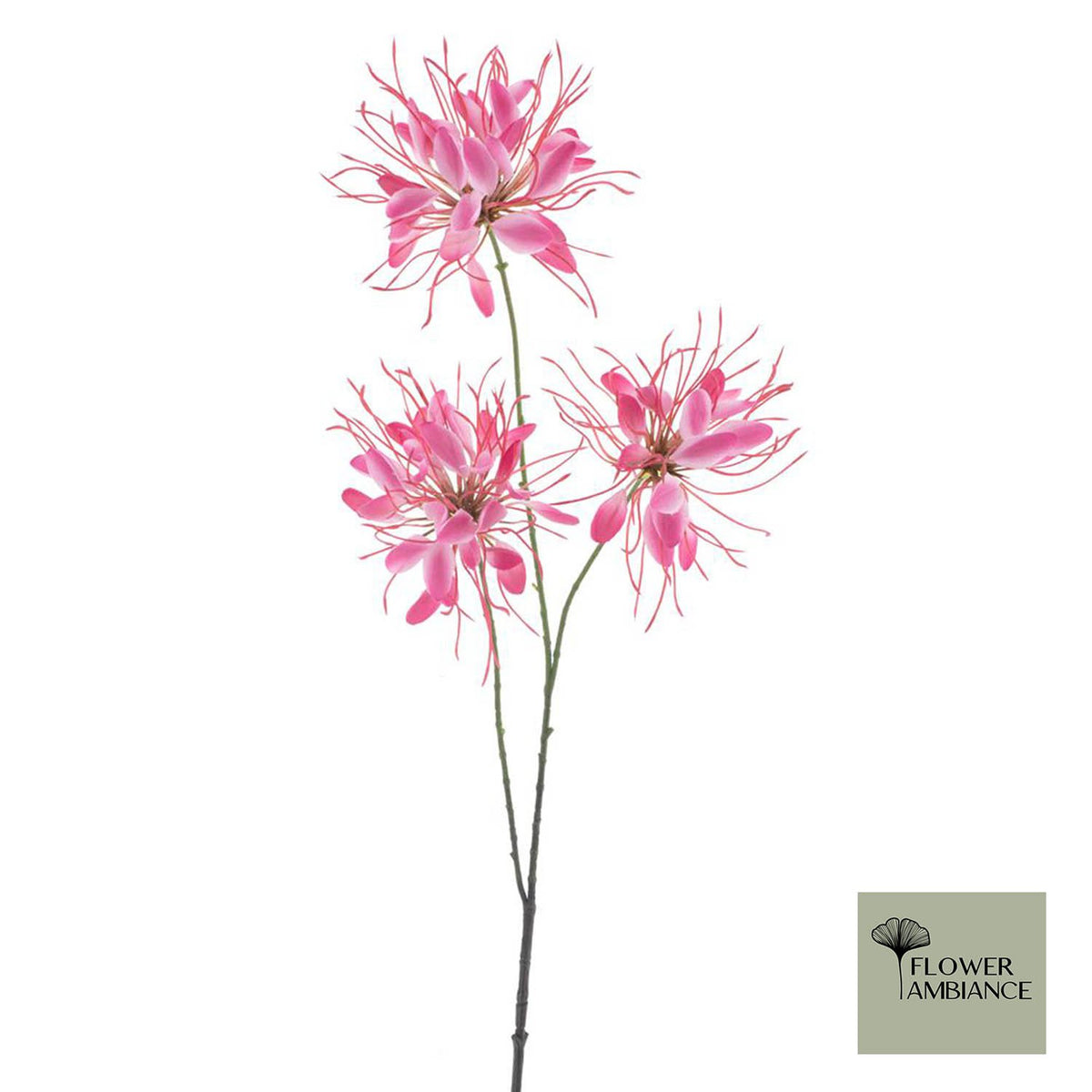 Spinbloemtak rood 94cm