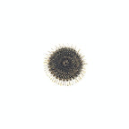 Rotan onderzetter met kauri schelpen